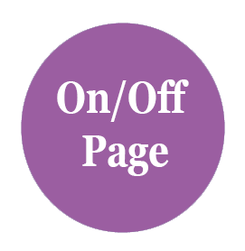vvtechsol-onpage/offpage-icon